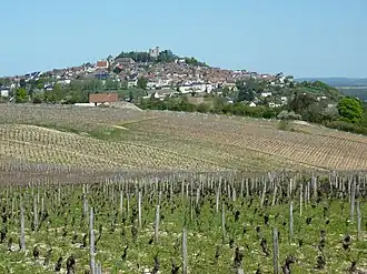 Image illustrative de l’article Sancerre (AOC)