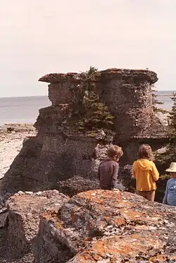 Monolithes sur l’île Niapiskau, visiteurs