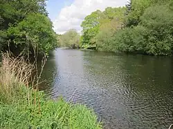 L'Ellé juste en amont du moulin de Kergueff (entre Tréméven et Arzano).