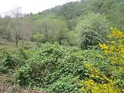 La vallée de l'Isole entre Tréméven et Mellac.