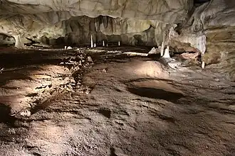 04&nbsp;: Ossements et bauge d’ours.