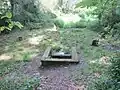 La fontaine de Saint-Cado et le cercle de pierres (un cromlech ?) l'entourant 3.
