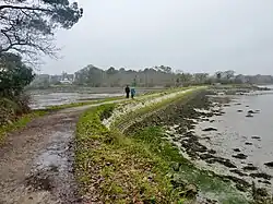 La rivière de Pont-l'Abbé : la digue de l'ancien chemin de halage à hauteur de l'anse du Guerdy, désormais sentier de randonnée GR 34.