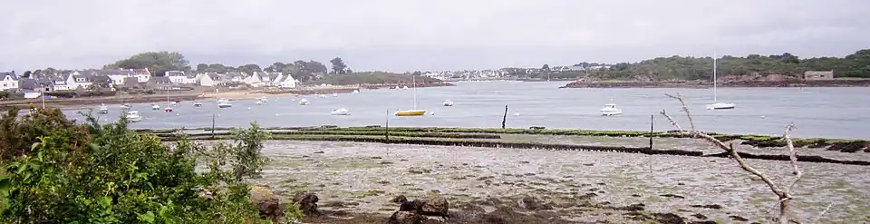 Image illustrative de l’article Oppidum de Mané-Coh-Castel