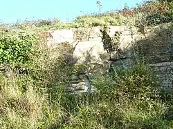 Le gisement de calcaire de Rozan (ria de l'Aber (qui a permis la construction du four à chaux de Rozan).