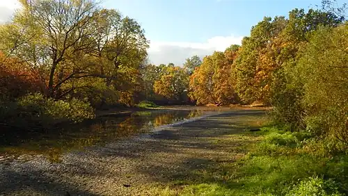 Réserve naturelle de Tůń u Hrobic.