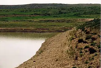 Image illustrative de l’article Arato