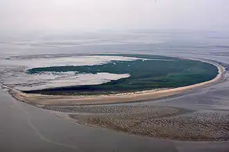 Image illustrative de l’article Trischen