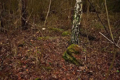 Plafond effondré de la crypte où a reposé, de 1934 à 1945, la dépouille de Carin Göring (2011).