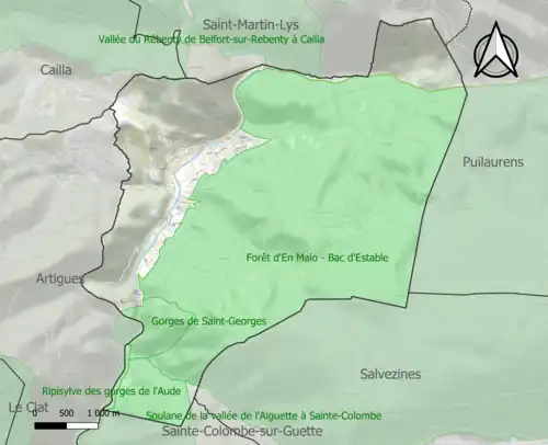 Carte des ZNIEFF de type 1 sur la commune.