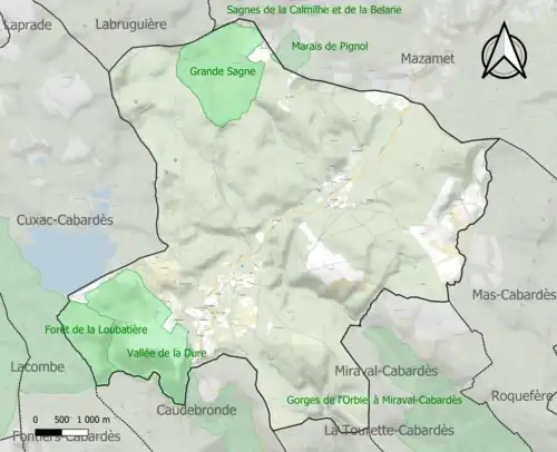 Carte des ZNIEFF de type 1 sur la commune.