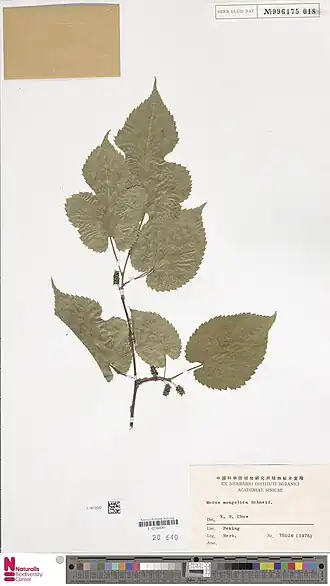 Description de cette image, également commentée ci-après