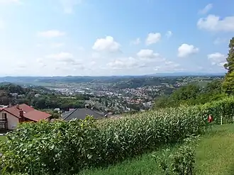 Šušelj Brijeg