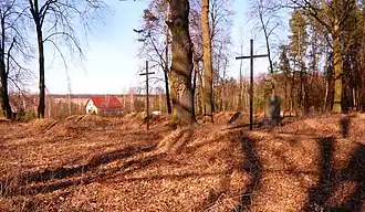 Borów (Opole Lubelskie)