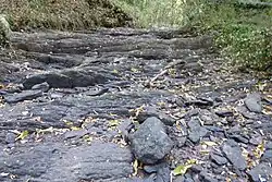 Encore plus au Sud, en haut du flanc : Un chaos de siltites (schistes) pourpres.