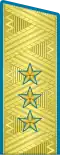 Insigne de colonel-général(uniforme de service de l'Armée de l'air).