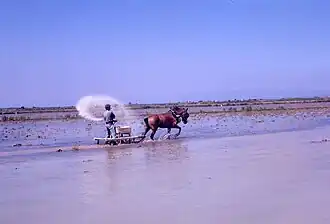 Paysan en train de semer (1968)