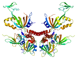 Image illustrative de l’article Protéine de réplication A