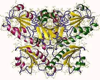 Image illustrative de l’article Calséquestrine