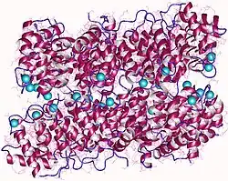 Description de cette image, également commentée ci-après