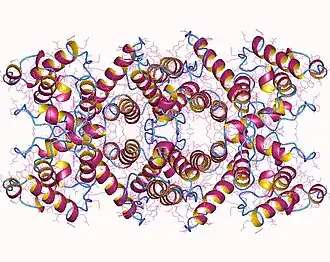 Image illustrative de l’article Dystrophine