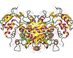 Description de cette image, également commentée ci-après