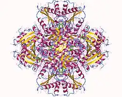 Description de cette image, également commentée ci-après