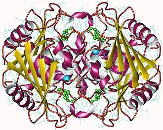 Image illustrative de l’article Cytidine désaminase