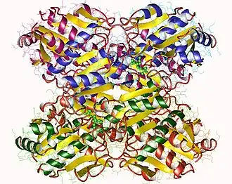 Image illustrative de l’article Phosphofructokinase-1