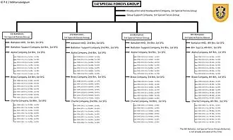 Organisation du 1st SFG(A)