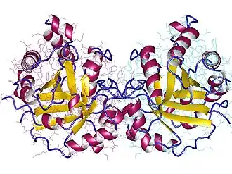 Image illustrative de l’article Triose-phosphate isomérase