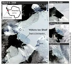 Localisation de l'évolution de la plate-forme Wilkins et de la plate-forme de glace en mars 2008