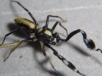 Description de cette image, également commentée ci-après