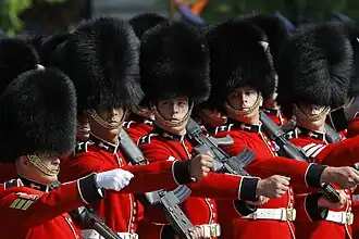 Image illustrative de l’article Welsh Guards
