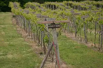 Image illustrative de l’article Northern Neck George Washington Birthplace