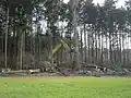 Déforestation mécanisée dans le Bade-Wurtemberg (2013).