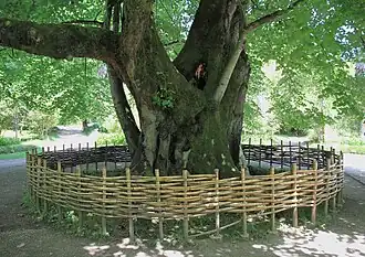 Description de cette image, également commentée ci-après