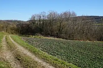 Vue générale avec le terril (puits E).