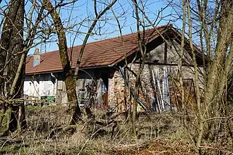 Un bâtiment simple et long vue derrière un rideau d'arbre sans feuille.