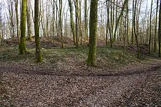 Vue générale du terril.