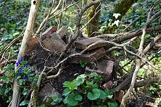 Briques déracinées.