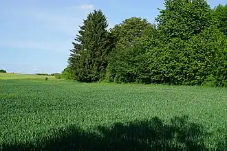 Emplacement du puits no&nbsp;9.