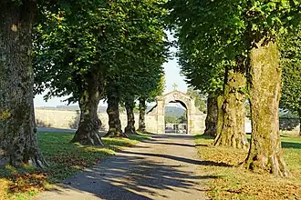 L'allée du cimetière.