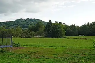 Des champs et des arbres devant une colline.
