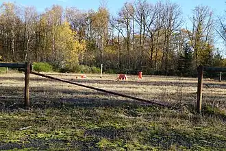 Des barrières en bois dans une zone défrichée.
