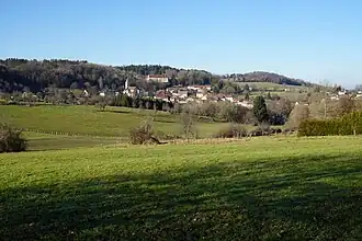 Paysage du centre historique et du Mont.