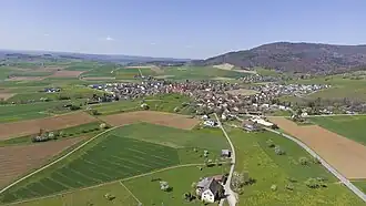 Siblingen