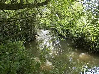 La rivière Tamout à Bazouges-la-Pérouse.