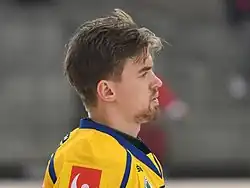 Description de l'image 20170406 AUTSWE 2424.jpg.