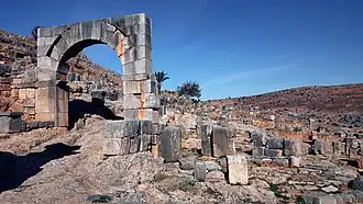 Image illustrative de l’article Tiddis